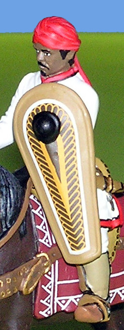 Particolare dello scudo