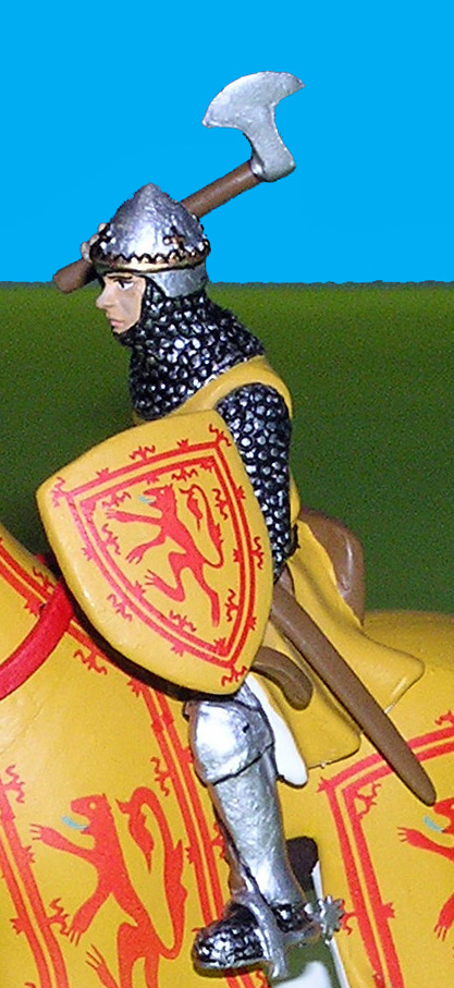 Particolare dello scudo