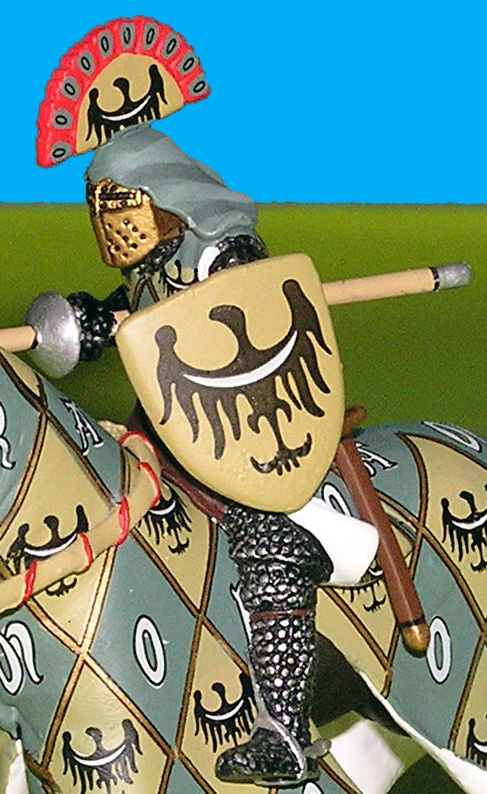 Particolare dello scudo